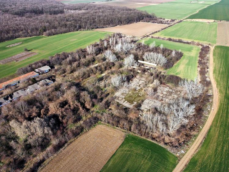 Ferma si livada de meri in judetul Ilfov - 11