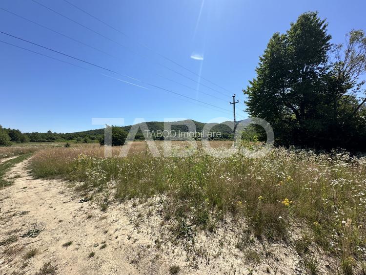 Teren extravilan 1900 mp cu utilitati in apropiere pe Valea Sebesului - 2