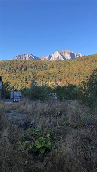 De vanzare teren intravilan AZUGA - 14