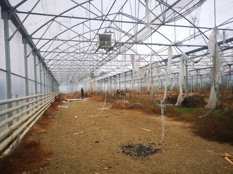 Teren 12.000mp + sera 3.000mp, Ciofrangeni-Arges - 4