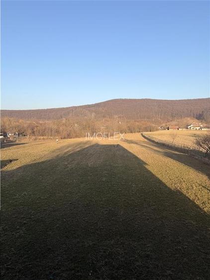 Vilă în Pătrăuți + 8400mp teren - 17