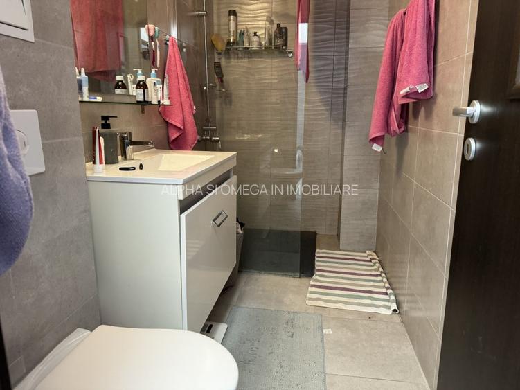 Apartament cochet, pentru termen lung - 8