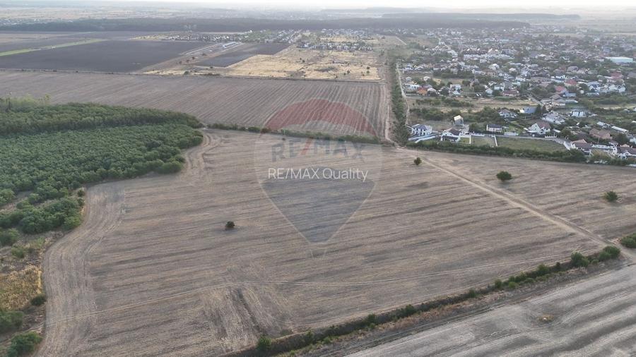 Teren investitie, intravilan Tamasi / Buftea - 4
