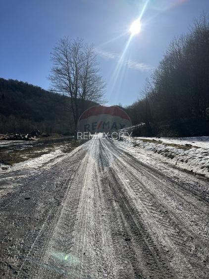 Teren 1,340mp Cuejdiu / Strada Cuejdiului - 5