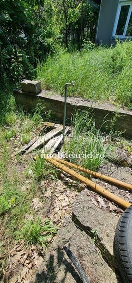 Teren intravilan 10.000mp cu utilitati, imprejmuit, Loc. Sanleani intre case, pr - 16