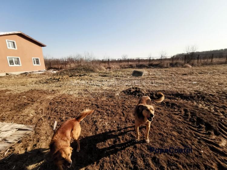 Silistea Snagovului teren intravilan 900 mp + 100 mp drum servitute - 4