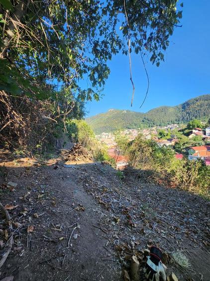 CASA CU TEREN IN Cartierul Schei - 8