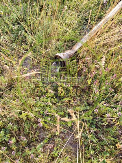 Exclusivitate! Teren intravilan, ttrifazic 44kw, urbanism, toate avizele luate! - 2