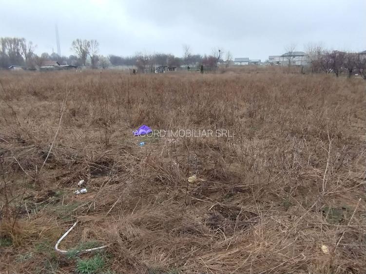 Teren 1000 mp investiție Km 5- Vila Cucoanei - 3