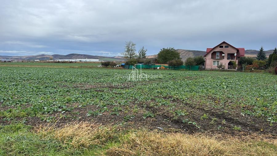 Teren 10 000 Mp Deschidere E60, Zona Aeroport/Autostrada, Ungheni - 2