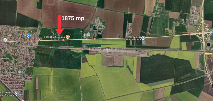 Hala 450 mp in mijlocul padurii Valu lui Traian 1875 mp - 3
