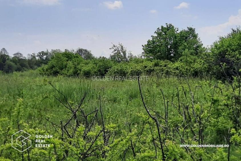 Teren intravilan 2880 mp, DJ 572 Lipova - 3