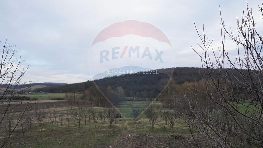 Teren de vanzare 517mp, sat Zapodia, com. Traian, jud Bacau - 3