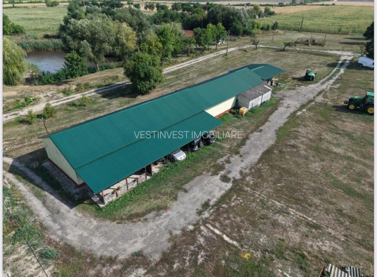 Spatiu multifunctional Salonta - 5