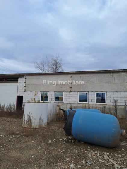 Hale de vanzare cu o suprafata totala de 5440 mp - 3