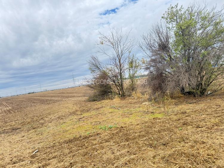 MAGURELE iF LOCALITATEA PRUNI ,LOTURI DE VANZARE - 8