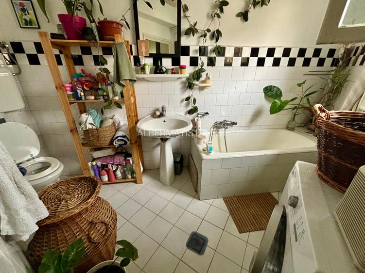 Vanzare apartament cu 3 camere Cismigiu - 12