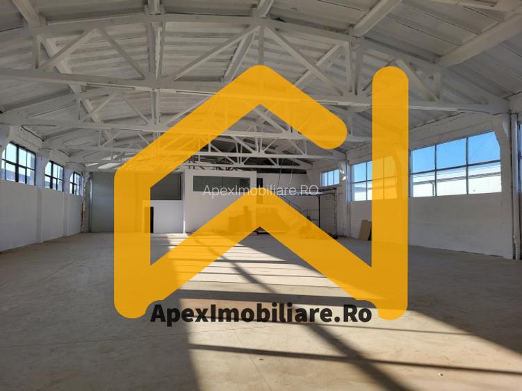 Hala Industriala Xenia – 1800 mp, Acces TIR, Parcare 50 Auto - 16