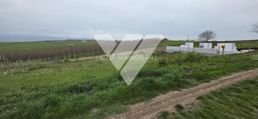 Investitie - Teren intravilan 536 mp Sura Mare ideal construcții - 2