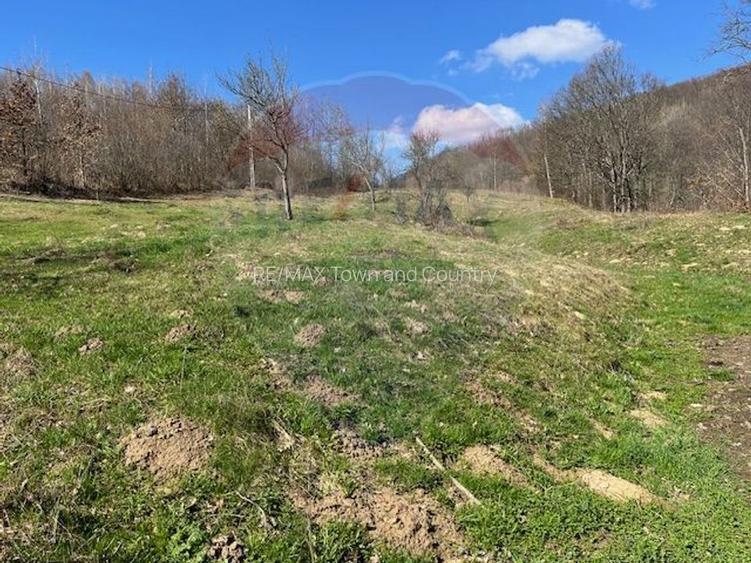 Teren 7,495mp Barsana - 3