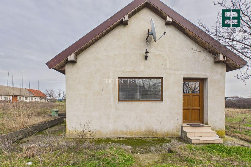 Proprietate industrială + Teren 8.632 - Voiteg - Județul Timiș - 4