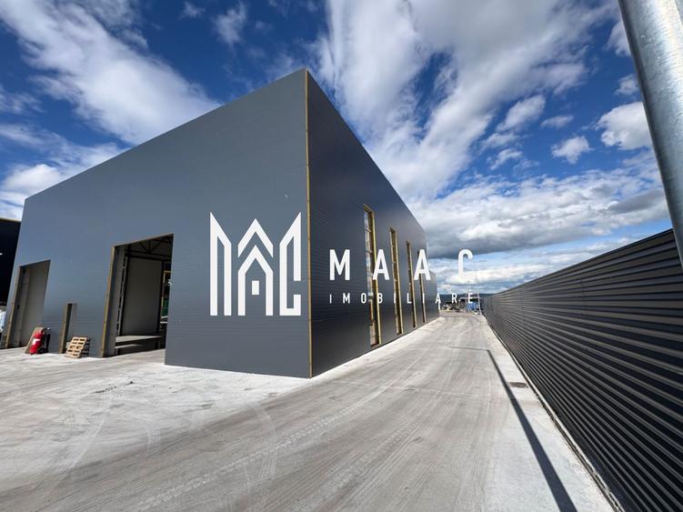 Hala noua 600 mp I zona vest