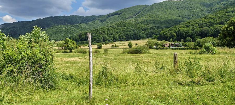 Teren intravilan - padure de agrement - in Brasov.