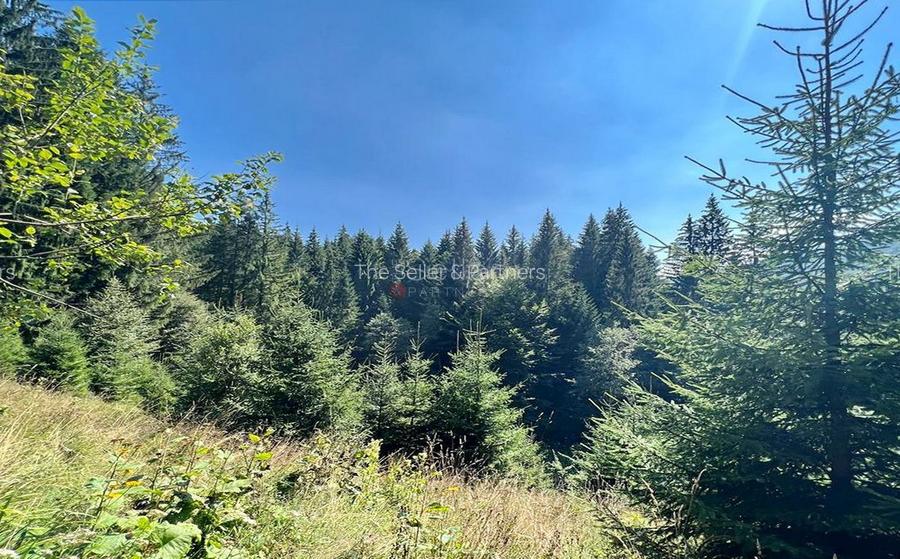 Teren Intravilan Predeal - Acces direct DN - Priveliste deosebita - 10