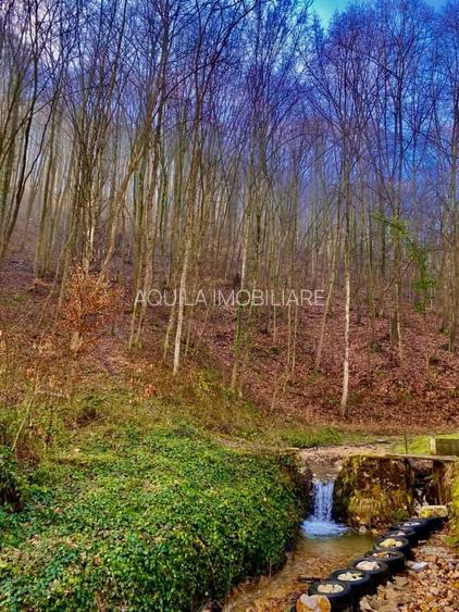 Teren intravilan 5660 mp - 7