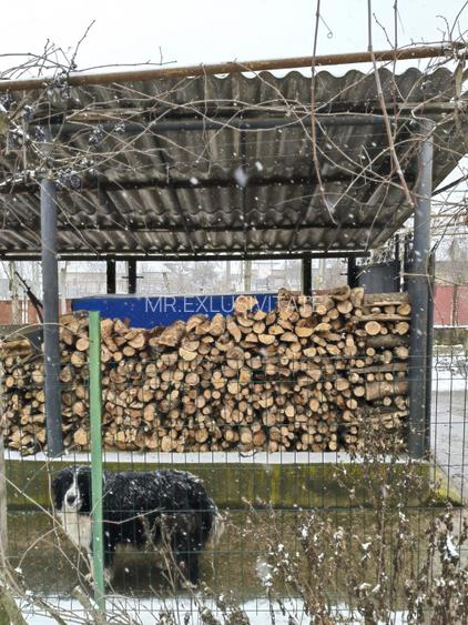 Proprietate rară – 2 case + livadă, vie și teren generos, la 20 km de Târgu Jiu - 12