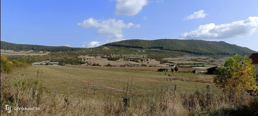 Teren 1.23 ha | DN17 | Șieu-Măgheruș - 4