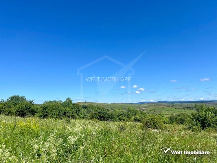 Oportunitate investitie, Chinteni, zona Macicas 31.600 MP - 2