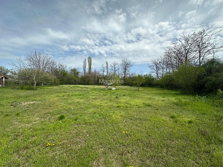 Vând teren intravilan stradal , posibilitate  parcelare  - 5