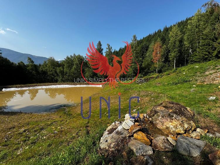 18000 mp de natura pura ,Lupeni, langa Straja - 6