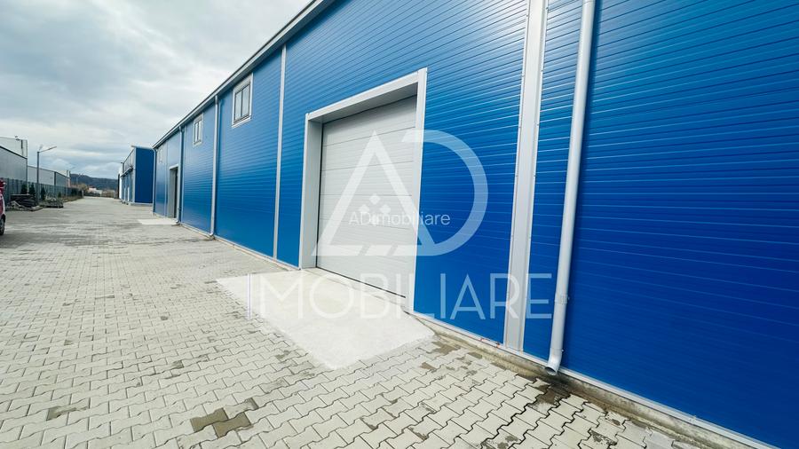 Închiriere hală 1000 mp situată în strada Narciselor , Târgu-Jiu - 13