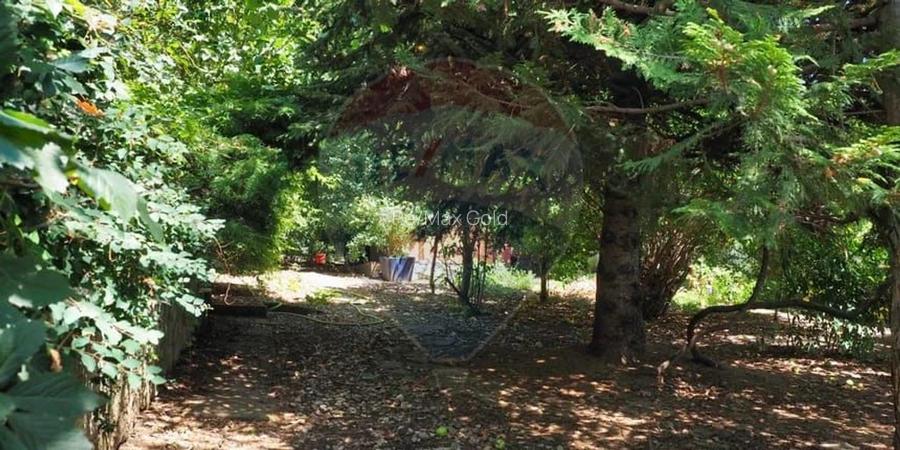 Vila la Lacul Snagov deschidere 21 ml,  ponton propriu - 15