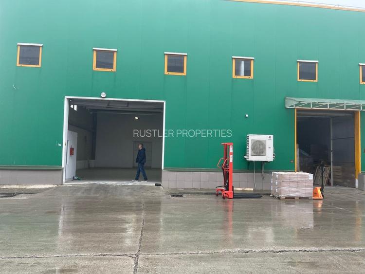 Hala Depozitare de inchiriat - Ștefanești - 4