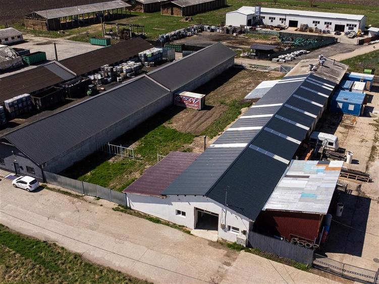Hala Industriala Renovata + 1500 MP Teren Halchiu