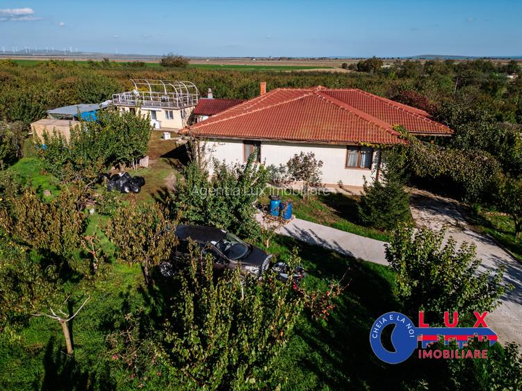 ID 7785 LIVADA SABANGIA DE VÂNZARE - 4