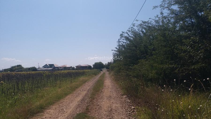 Teren 15000 mp Vernesti, Buzau cu PUZ - 6