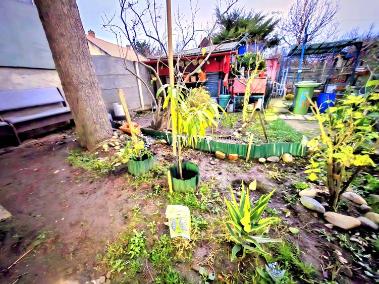 Apartament cu 1 cameră, zona Bălcescu, spațios, cu grădină - 2