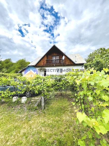 CASA  comuna ALEXANDRU cel BUN - VIISOARA - 17
