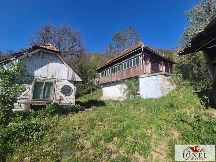 Vanzare casa in Muntii Apusenii - Ocolis - 9