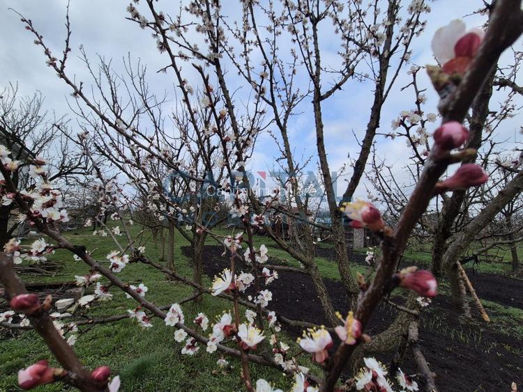Casa la cheie cu garaj, D+P+E, 200 mpu, 1 400 mpt, central Dezmir - 5