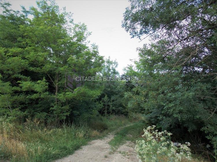 LAZU - Teren intravilan 1500 mp, cu deschidere la DN39! - 6