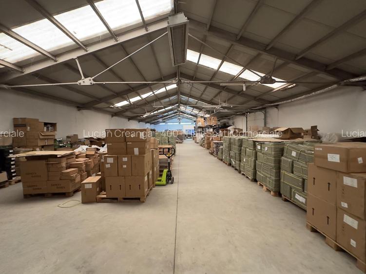 Hala/ showroom 530mp, Tatarasi - Aurel Vlaicu - 3