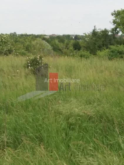 Teren Buftea cu iesire la lac - 13