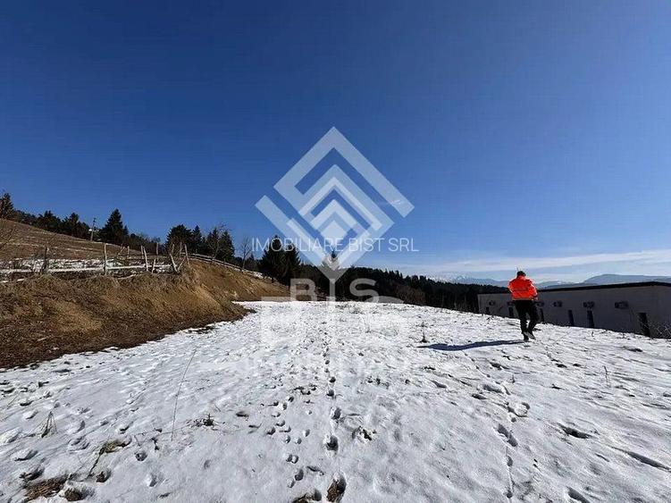 Teren intravilan Colibita 26 arii - 3