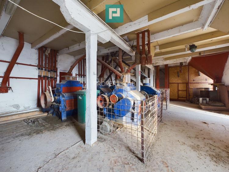 Moară de vânzare în comuna Periam, județ Timiș - 7