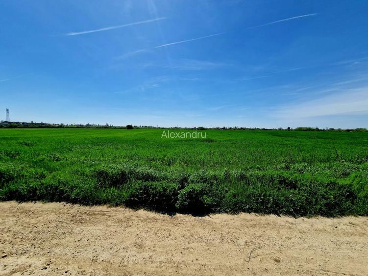 Teren intravilan 5000 mp, str.Sondei, Peris  - 4